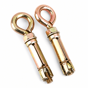 M10 shield anchors with eye bolts, showcasing heavy-duty steel construction and secure fastening design.