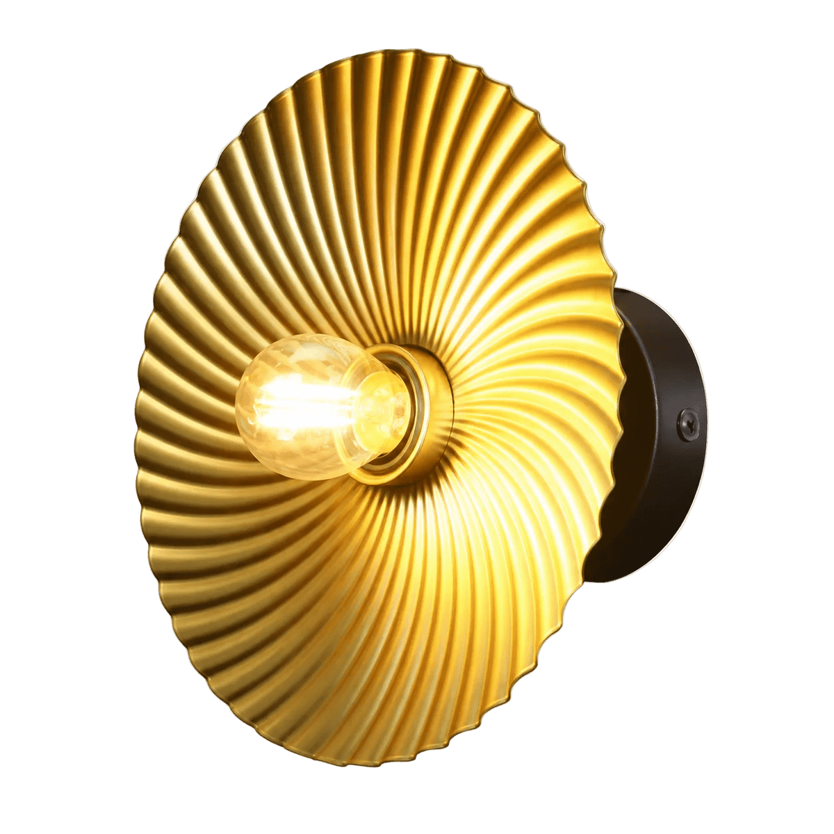 Alexander Indoor Wall Light