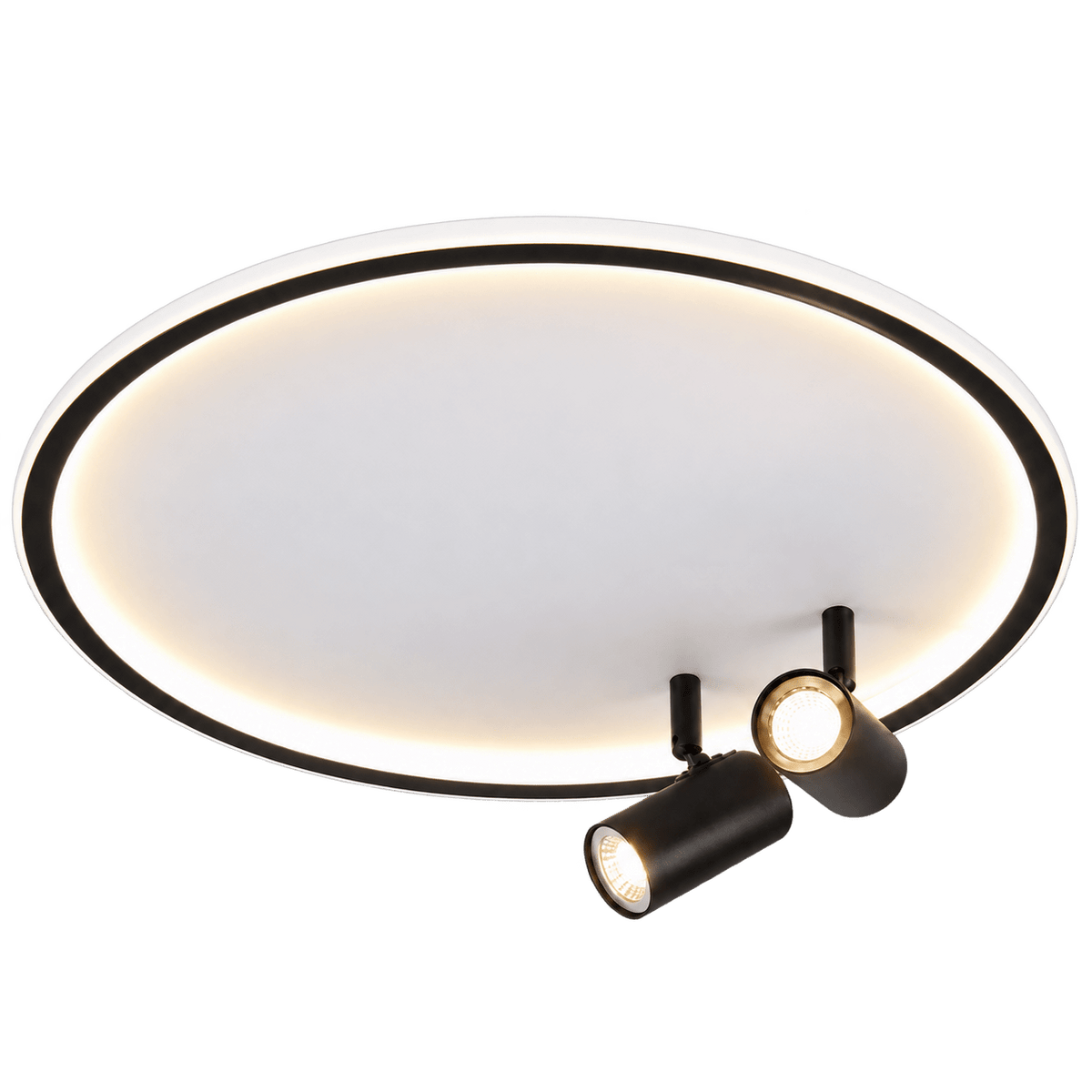 Walle LED Ceiling Light