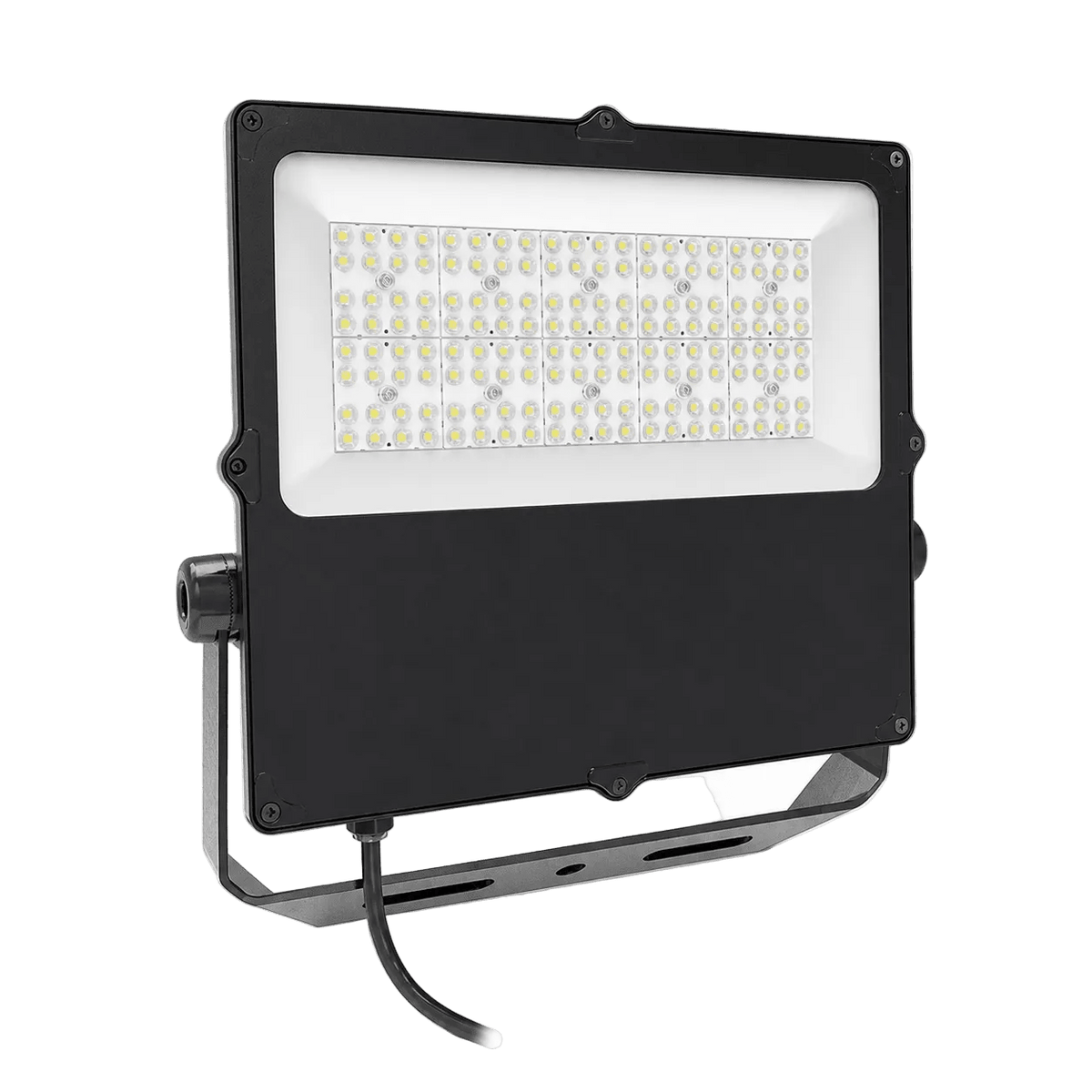 Thor 100W Coastal Floodlight - 5 Year - Daylight (6000K)
