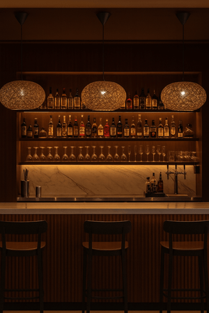 Bar setup with shelves of bottles and glasses, dimly lit ambiance