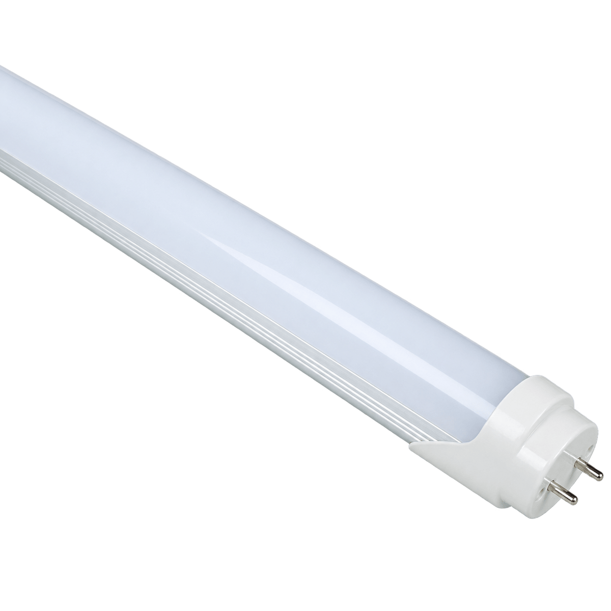 Frosted T8 LED tube light with a white finish and two pronged end cap, angled view.