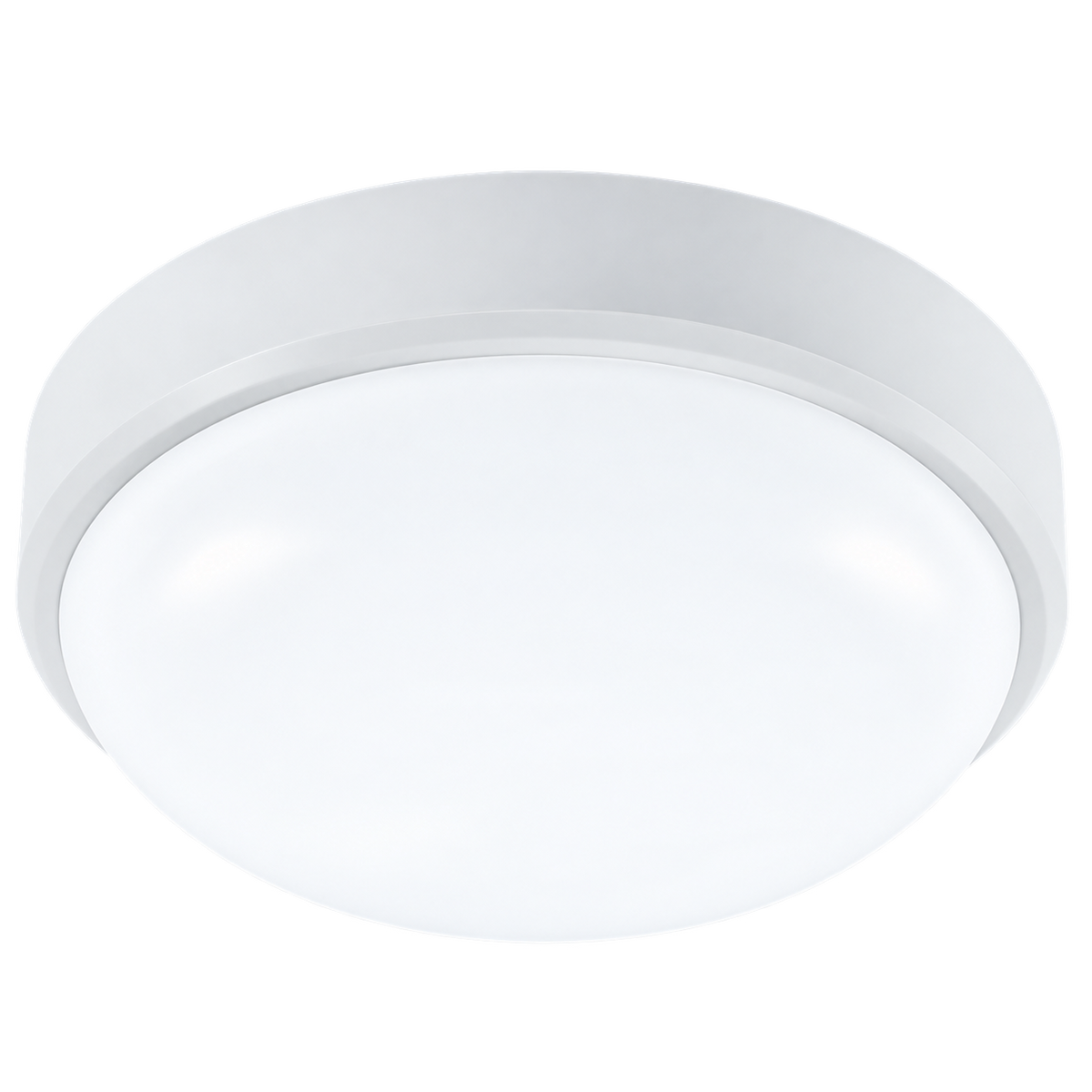 20W Cool White LED Bulkhead IP54