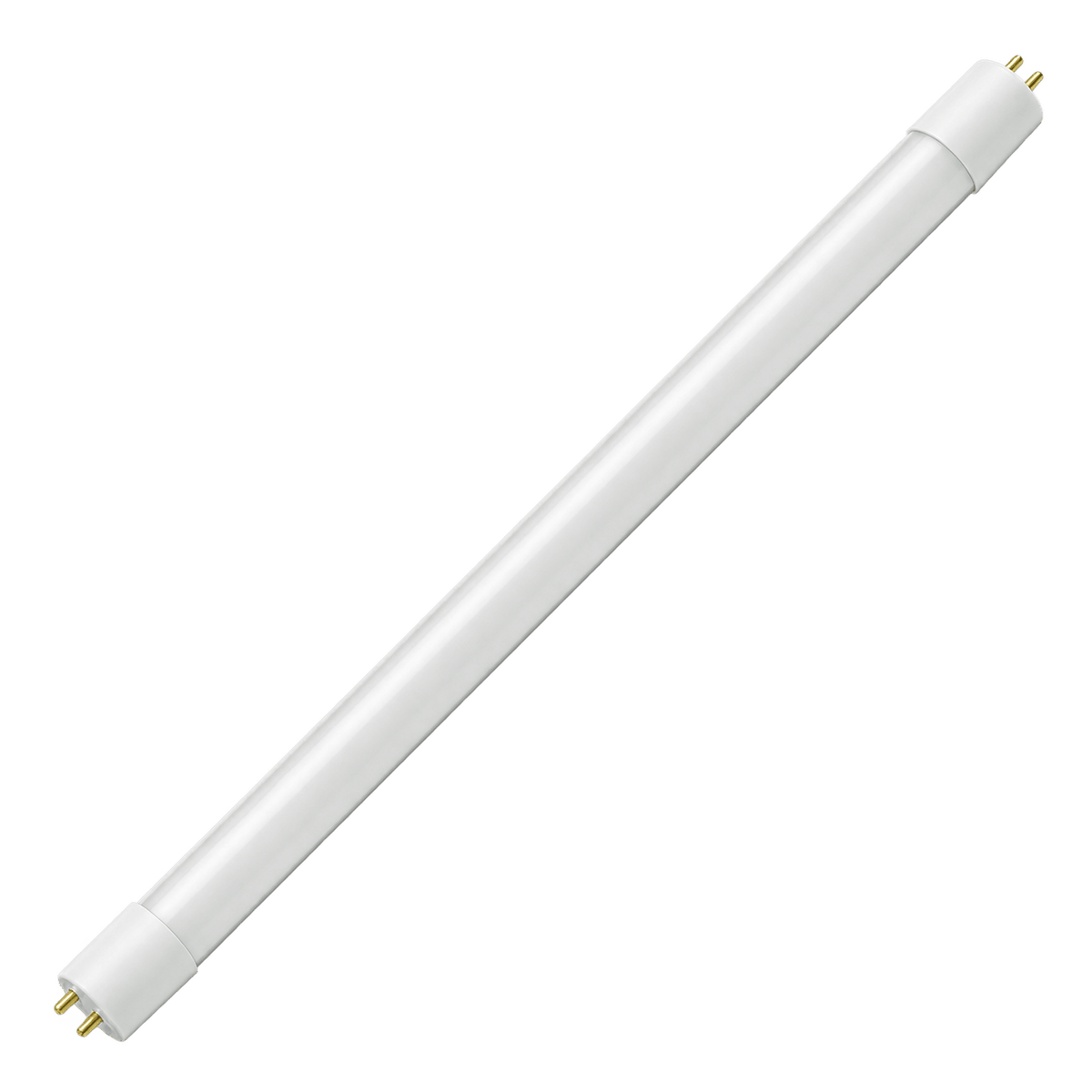 T8 LED Tube - 600mm (2 Foot) - Frosted - 8W - Cool White (4200K) - 12V