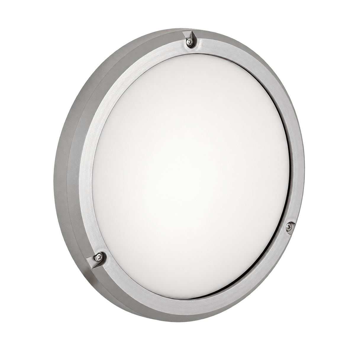 Graphite Bulkhead Light