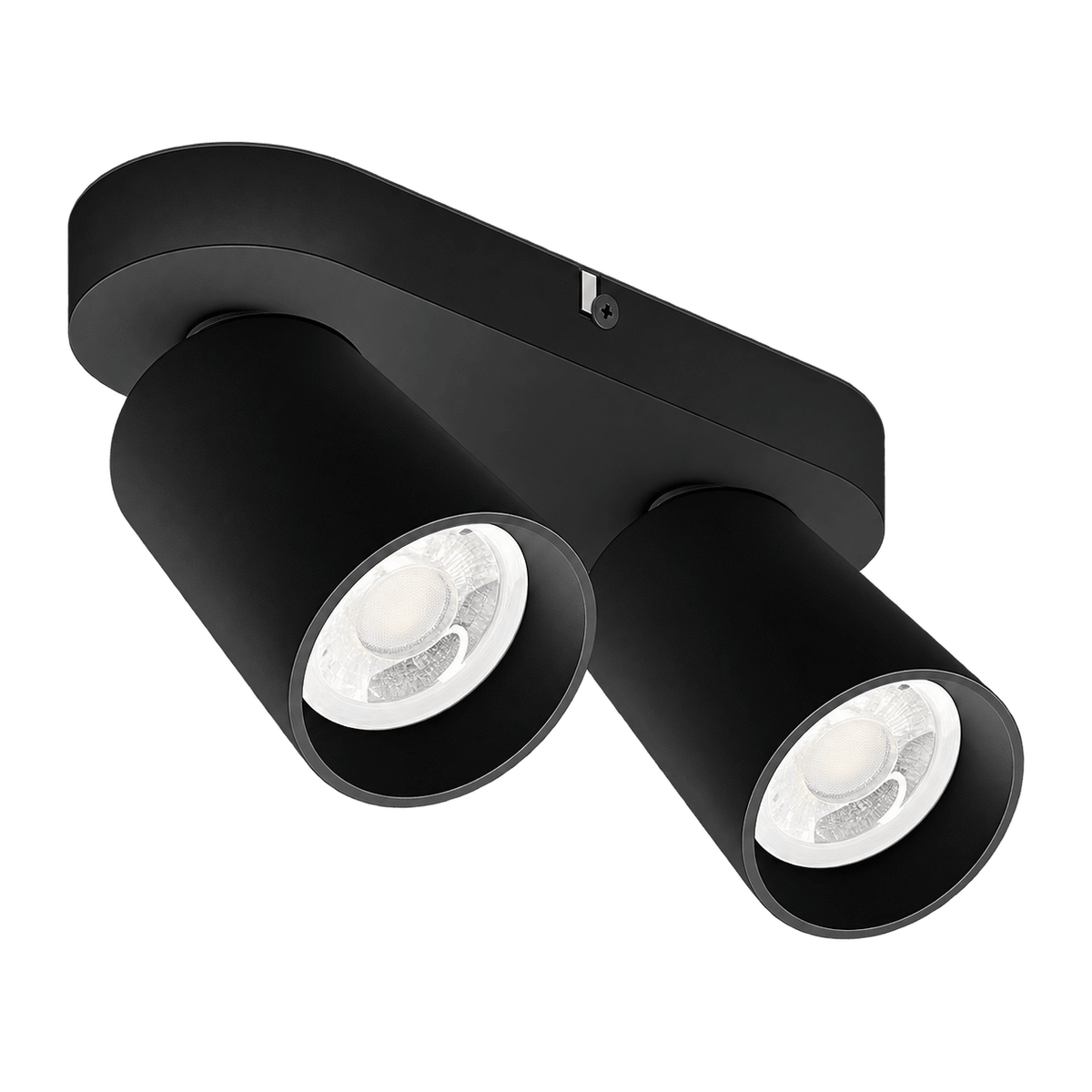Black Flip Twice Ceiling Spotlight