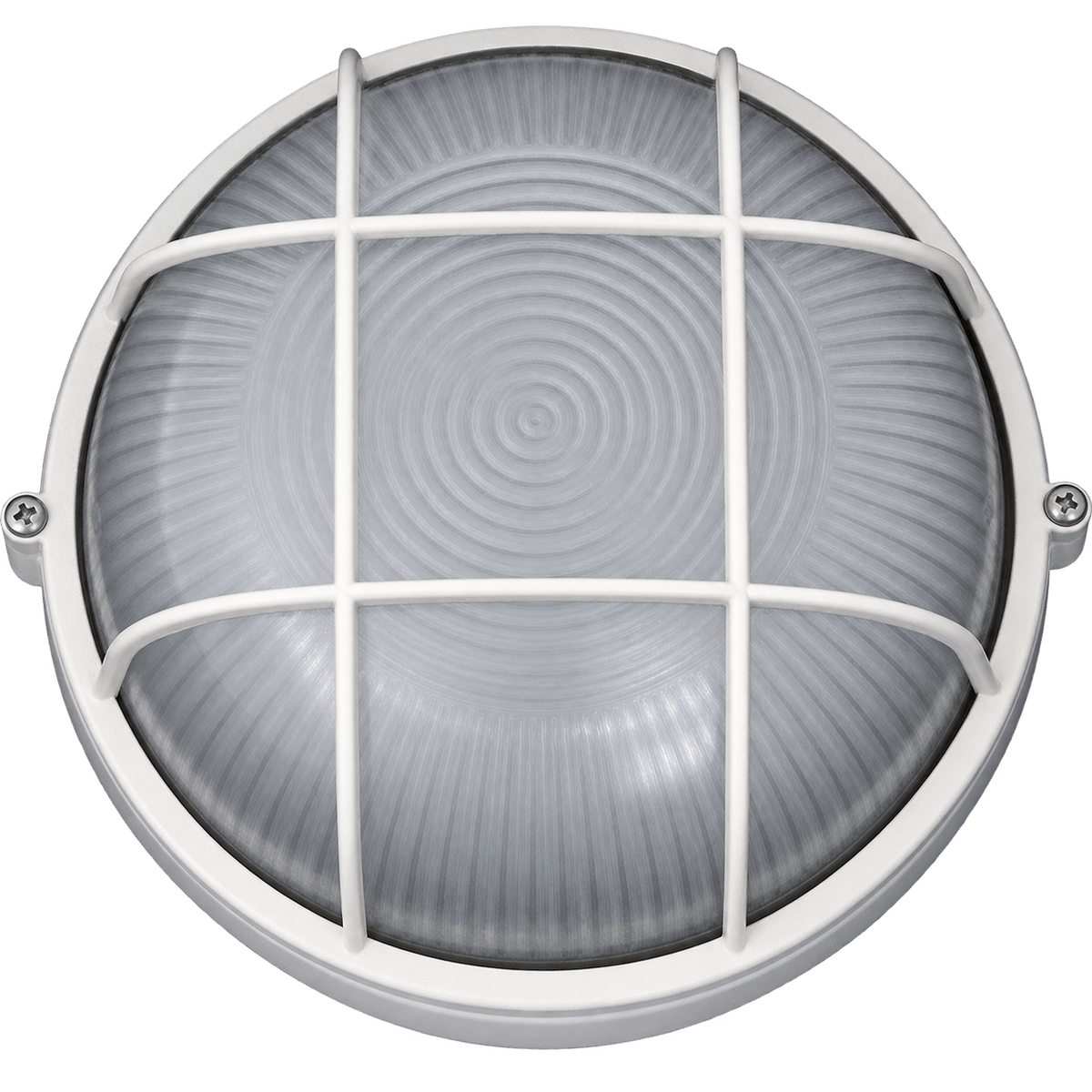 LED Cage Bulkhead IP54 6000K