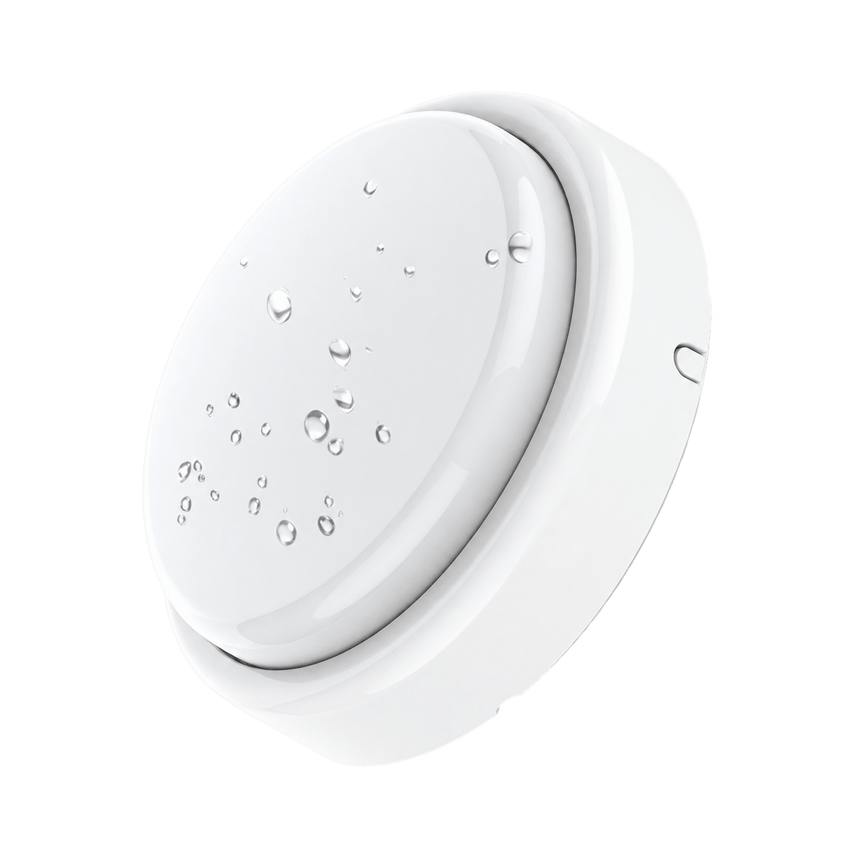 Sidekick IP65 LED Bulkhead - White (CCT)