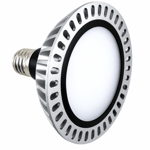 LED PAR56 light bulb with a silver metallic finish, black base, and a white circular lens.