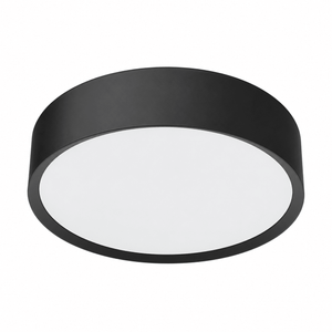 Only LED Ceiling Light - Emergency