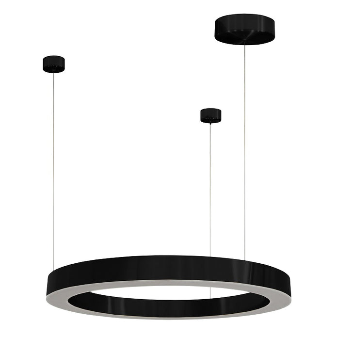 Halo Black LED Pendant - Future Light - LED Lights South Africa
