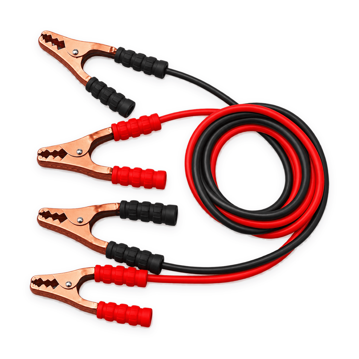 Red and black battery jumper cables with four copper clamps on white background