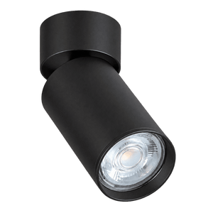 Kaapstad Black Adjustable Surface Mounted Spotlight product image on transparent background