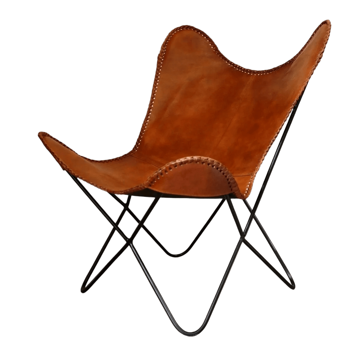Leather Iron Butterfly Chair