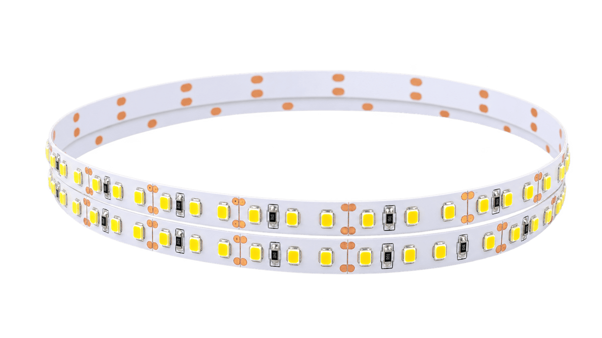 LED striplight coil on transparent background