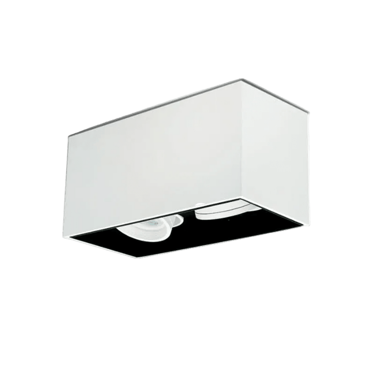 Lone Tilt White Surface Mount Down Light - 2 Light, transparent background, 1254 x 1254