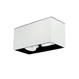 Lone Tilt White Surface Mount Down Light - 2 Light, transparent background, 1254 x 1254