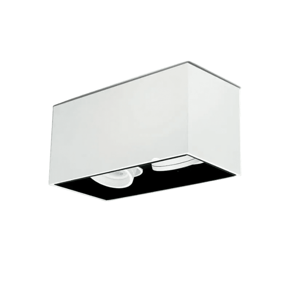 Lone Tilt White Surface Mount Down Light - 2 Light, white background, 1254 x 1254