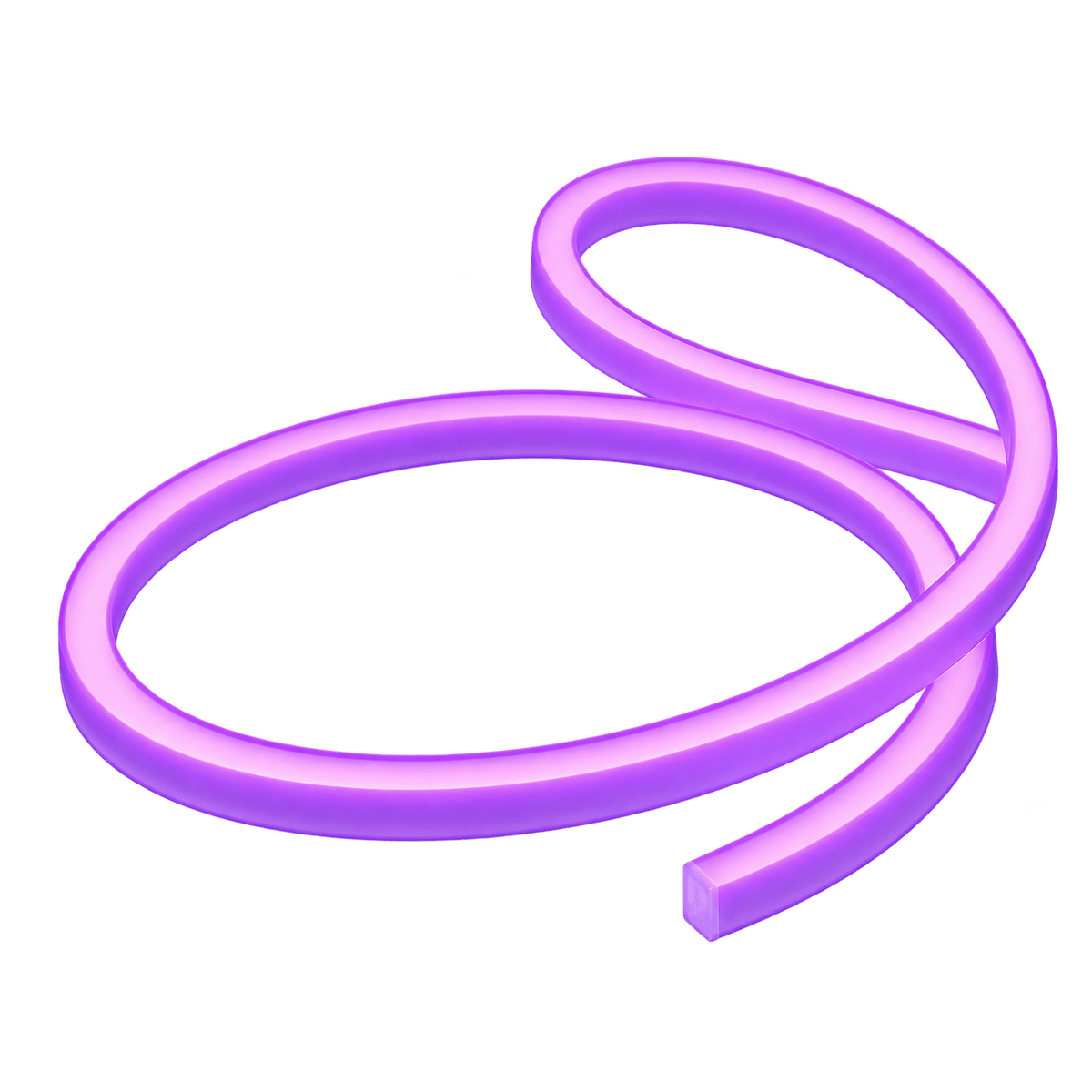 12V purple neon flex strip on transparent background