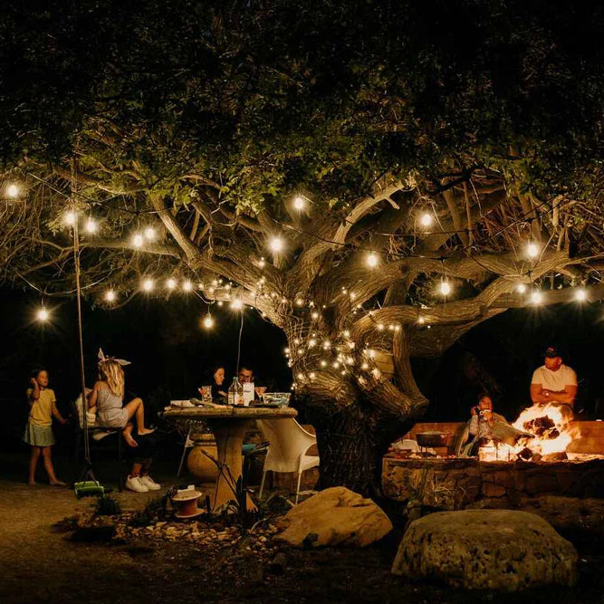People gathered around a tree with string lights at night, enjoying a warm glow.