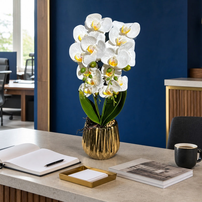 Artificial white Phalaenopsis orchid in gold fluted pot on a cobalt-blue office reception counter