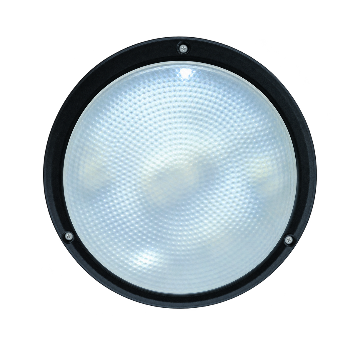 Black Clear 16W 2D Bulkhead Light - 266mm Diameter, IP54 — transparent background