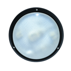 Black Clear 16W 2D Bulkhead Light - 266mm Diameter, IP54 — transparent background