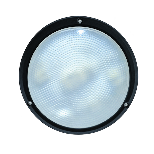 Black Clear 16W 2D Bulkhead Light - 266mm Diameter, IP54 — transparent background