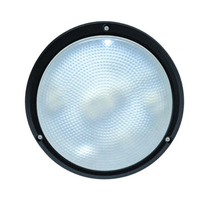 Black Clear 16W 2D Bulkhead Light - 266mm Diameter, IP54 — white background