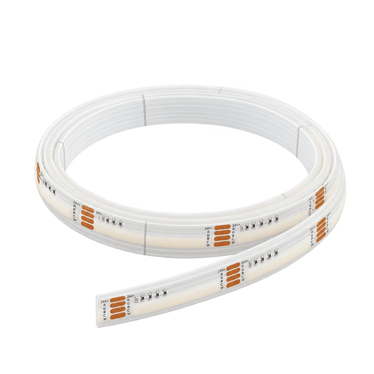 24V RGB and CCT LED striplight coil on transparent background