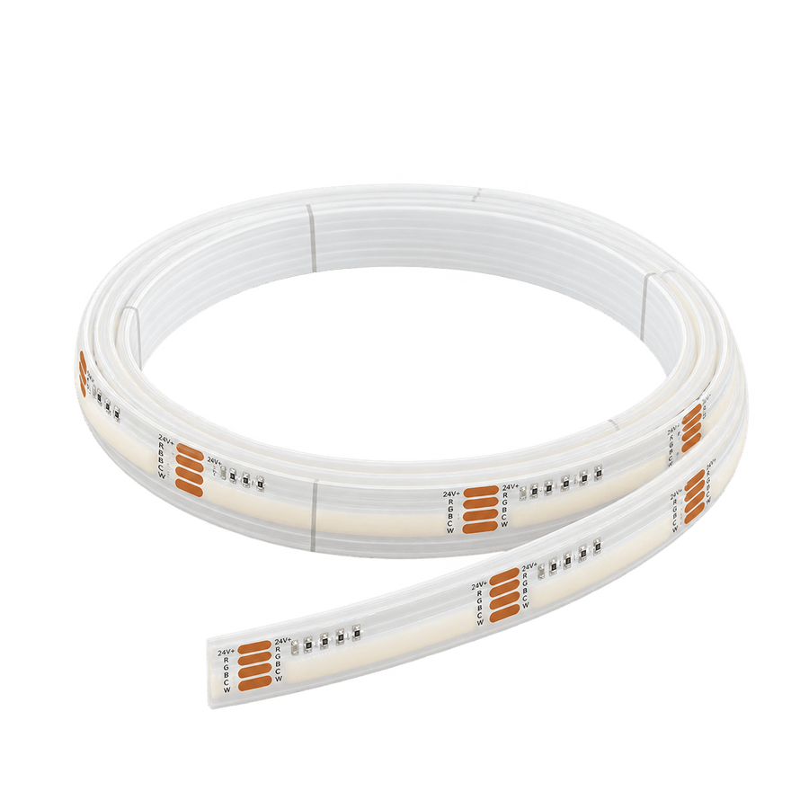 24V RGB and CCT LED striplight coil on transparent background