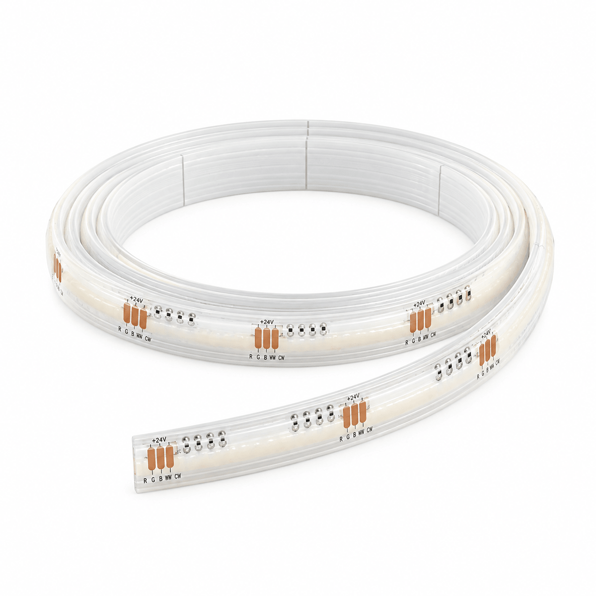 24V RGB and CCT LED striplight coil on white background