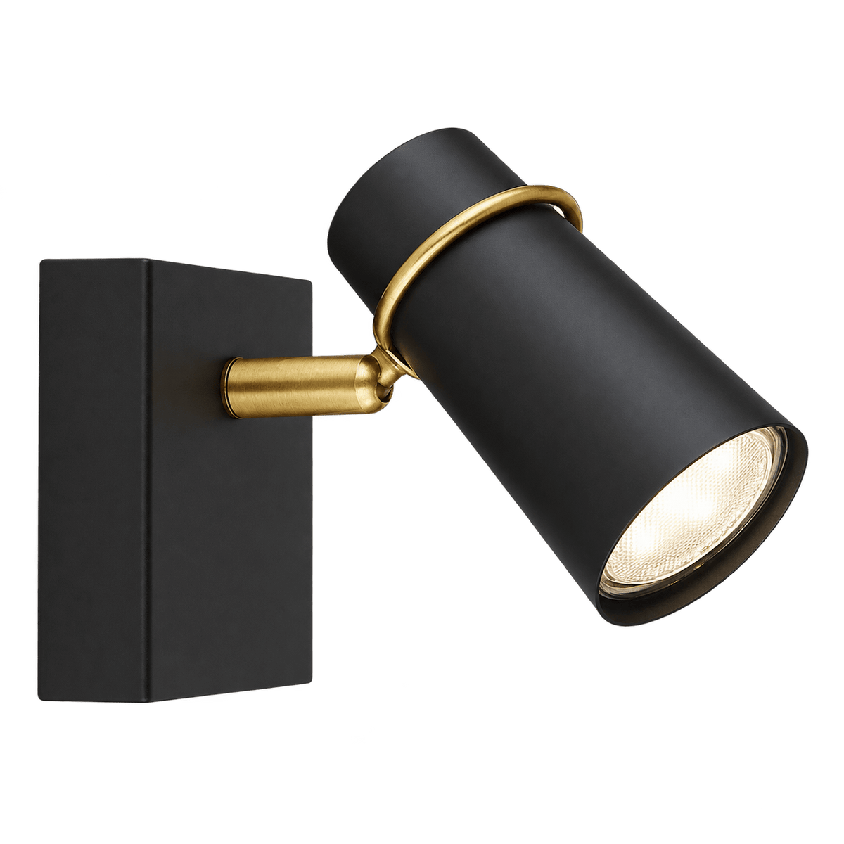 Barrington Black & Gold Spot Light - 1 Light — transparent background