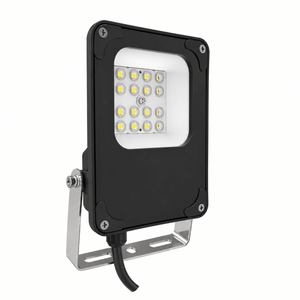 Thor 30W Coastal Floodlight - Daylight, white background