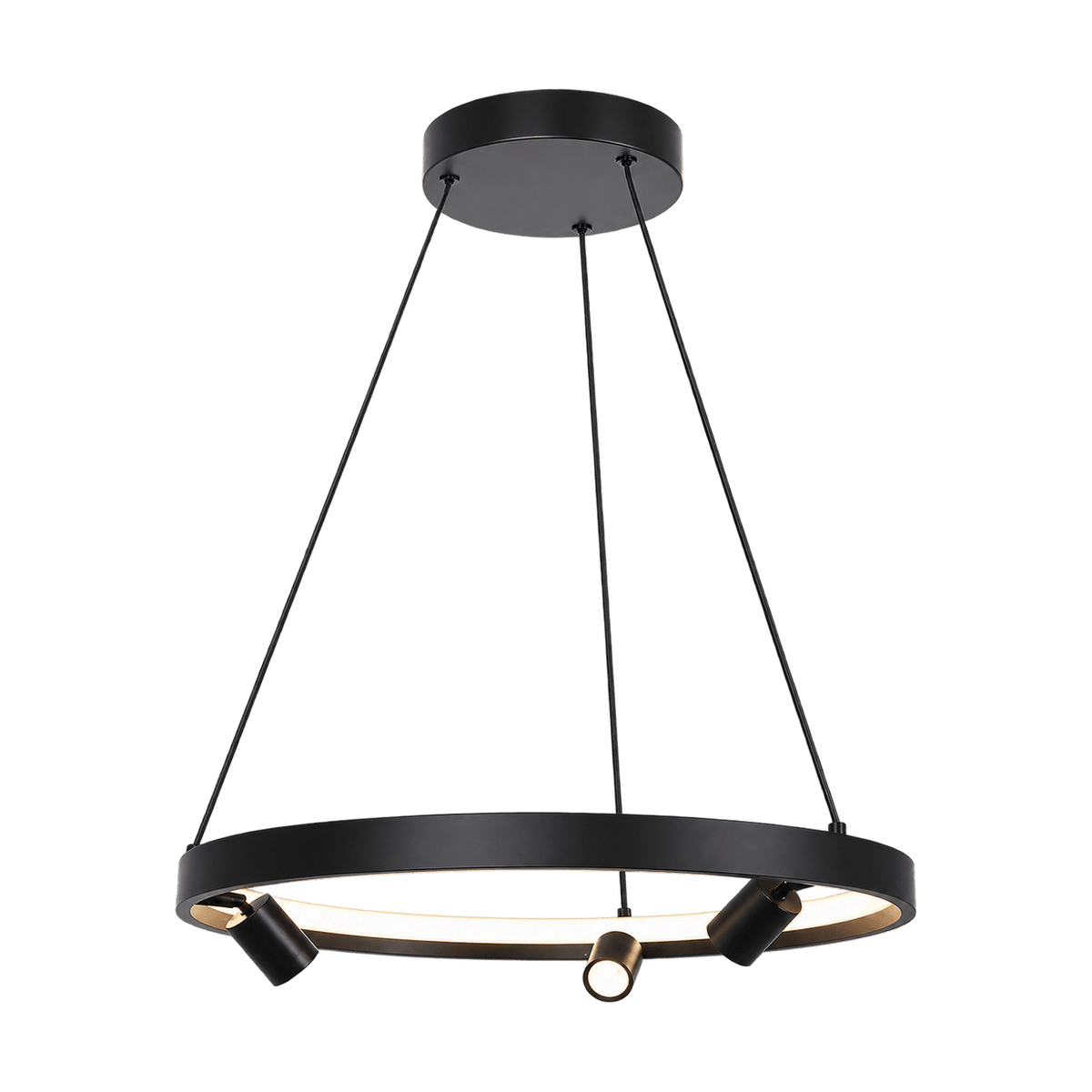 Douglas Ring LED Pendant Light on a transparent background