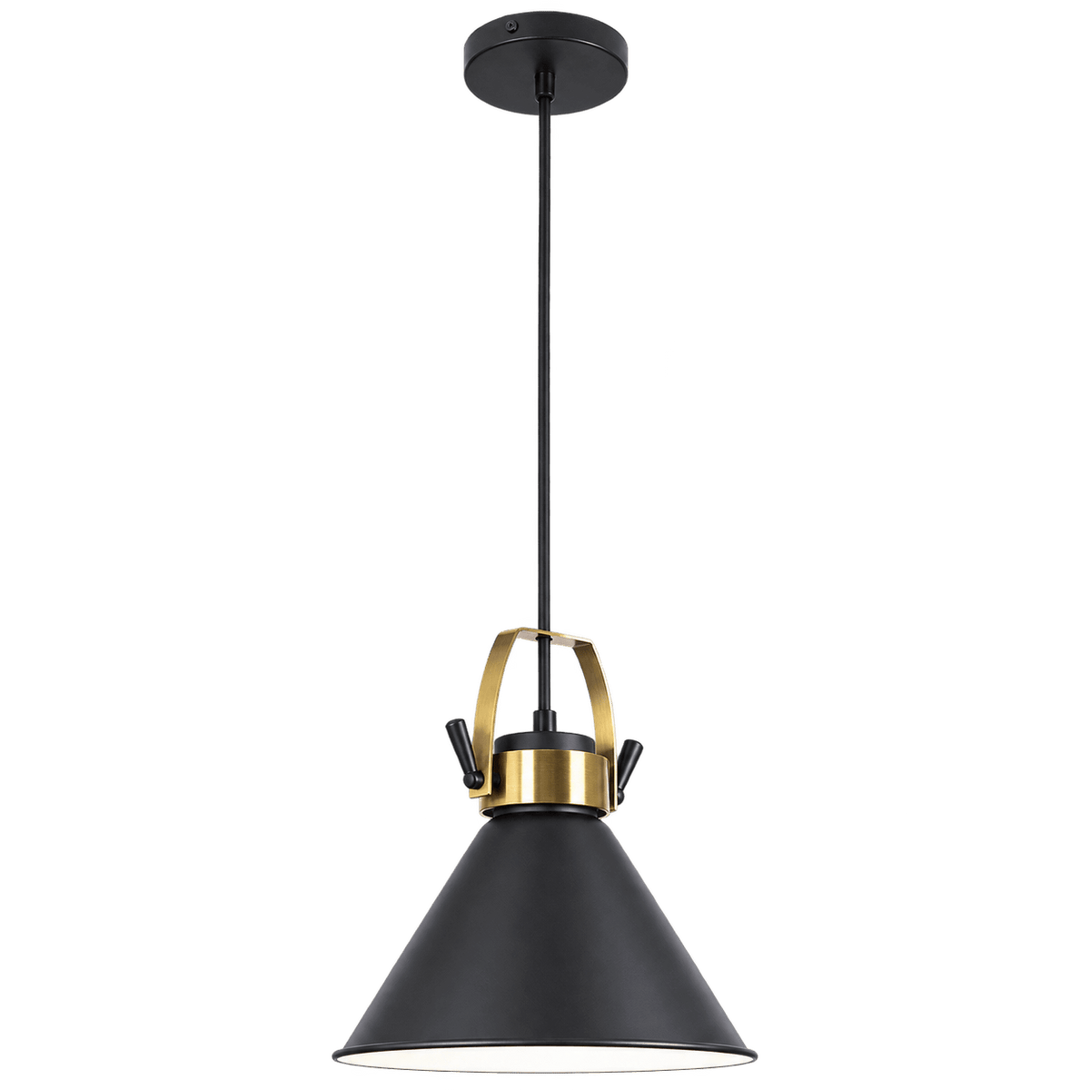 Black & Brass Pendant Light — transparent background