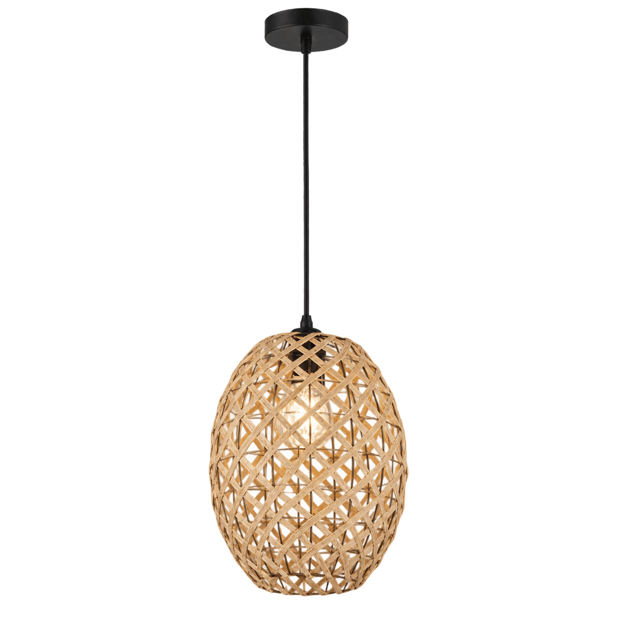 Metal & Rope Pendant Light — transparent background