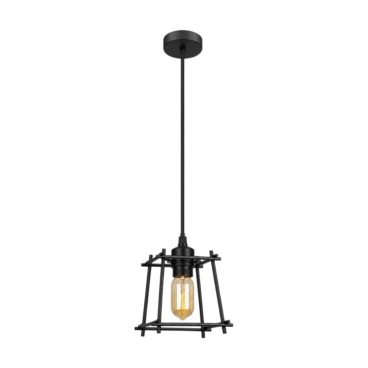 Bare Black Pendant Light on transparent background