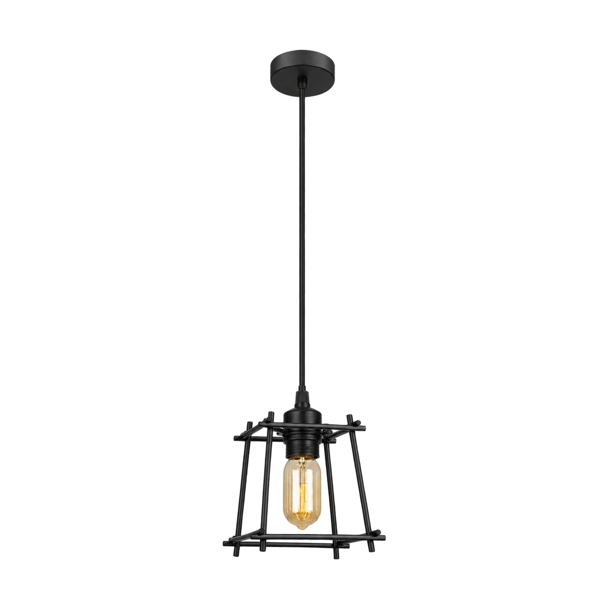 Bare Black Pendant Light on white background