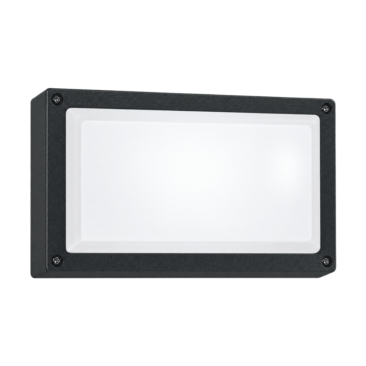 Sana Rectangular Wall Light on a white background