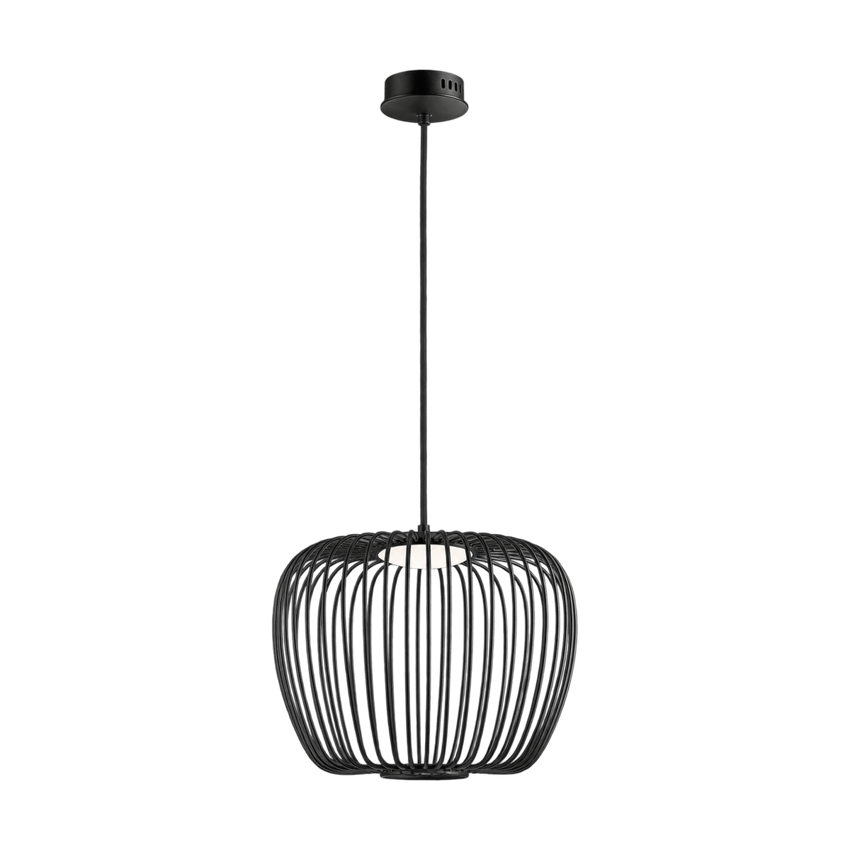 Black Apple LED Wire Pendant Light on a transparent background