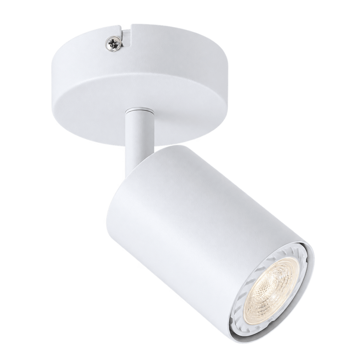 Urban Single Ceiling Spotlight — transparent background