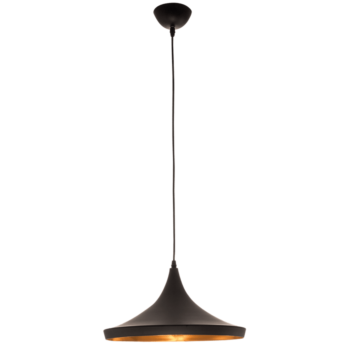 Schwin Black & Gold Pendant Light — transparent background