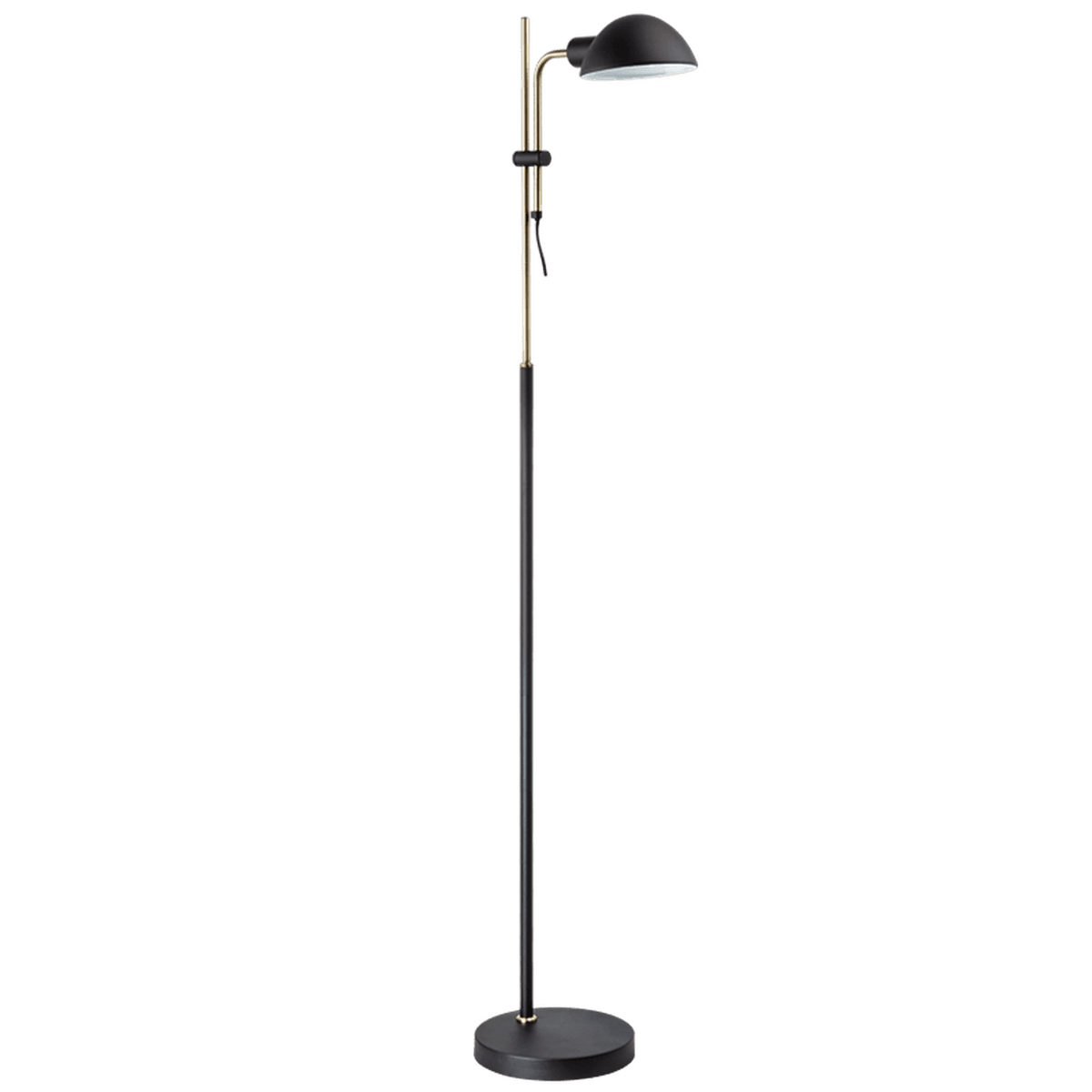 Keller Black & Brass Floor Lamp — transparent background