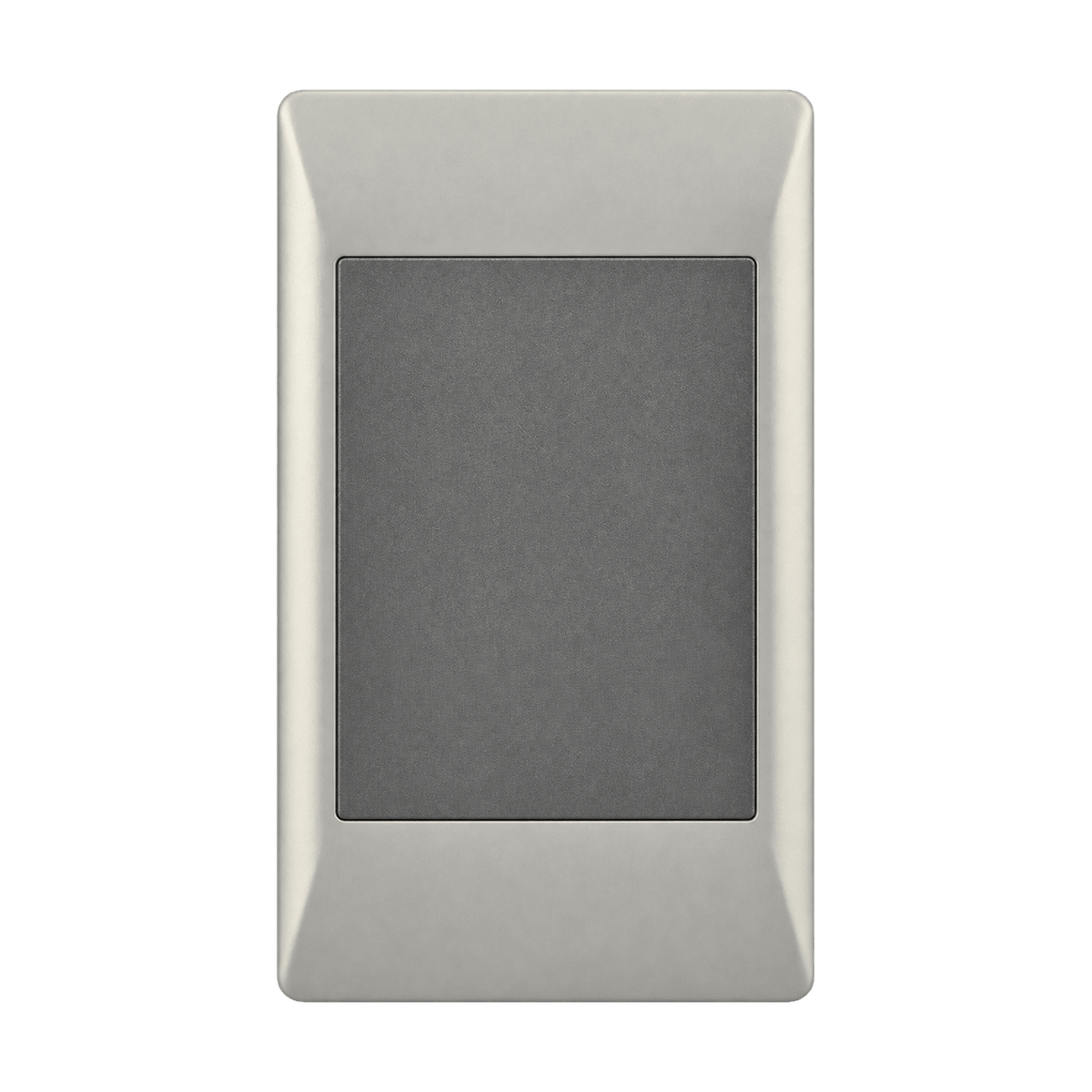 Ashley Blank Plate 2x4 on a transparent background