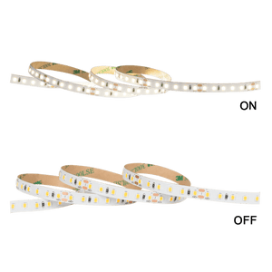 24V Cool White LED Strip Light 4000K IP20 — transparent background