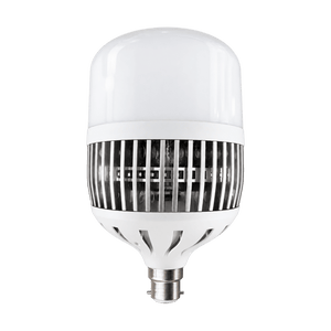 100W White LED Bulb – B22, 6000K Daylight on a transparent background