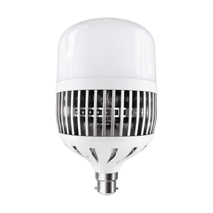 100W White LED Bulb – B22, 6000K Daylight on a white background