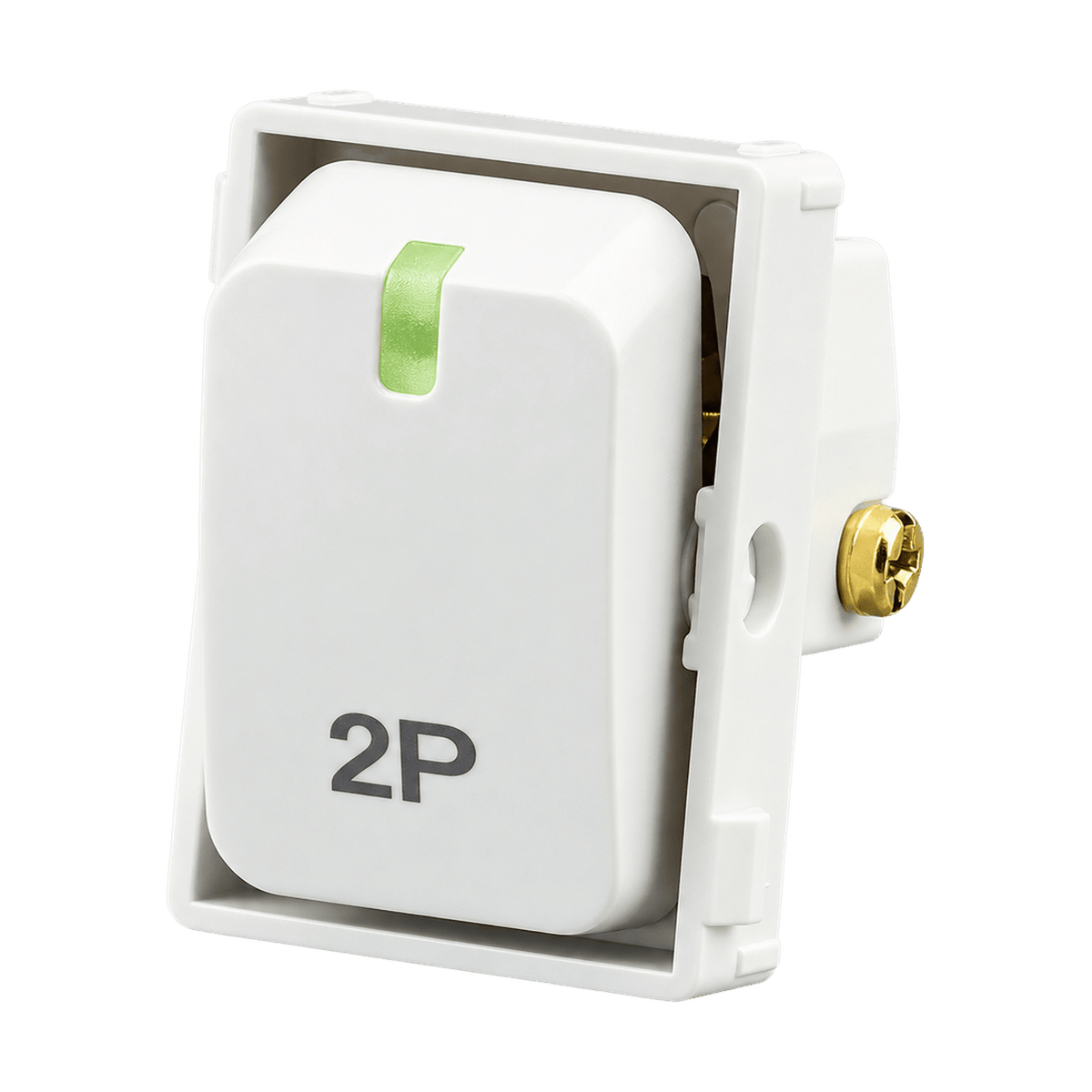 White Double Pole Isolator Module Switch