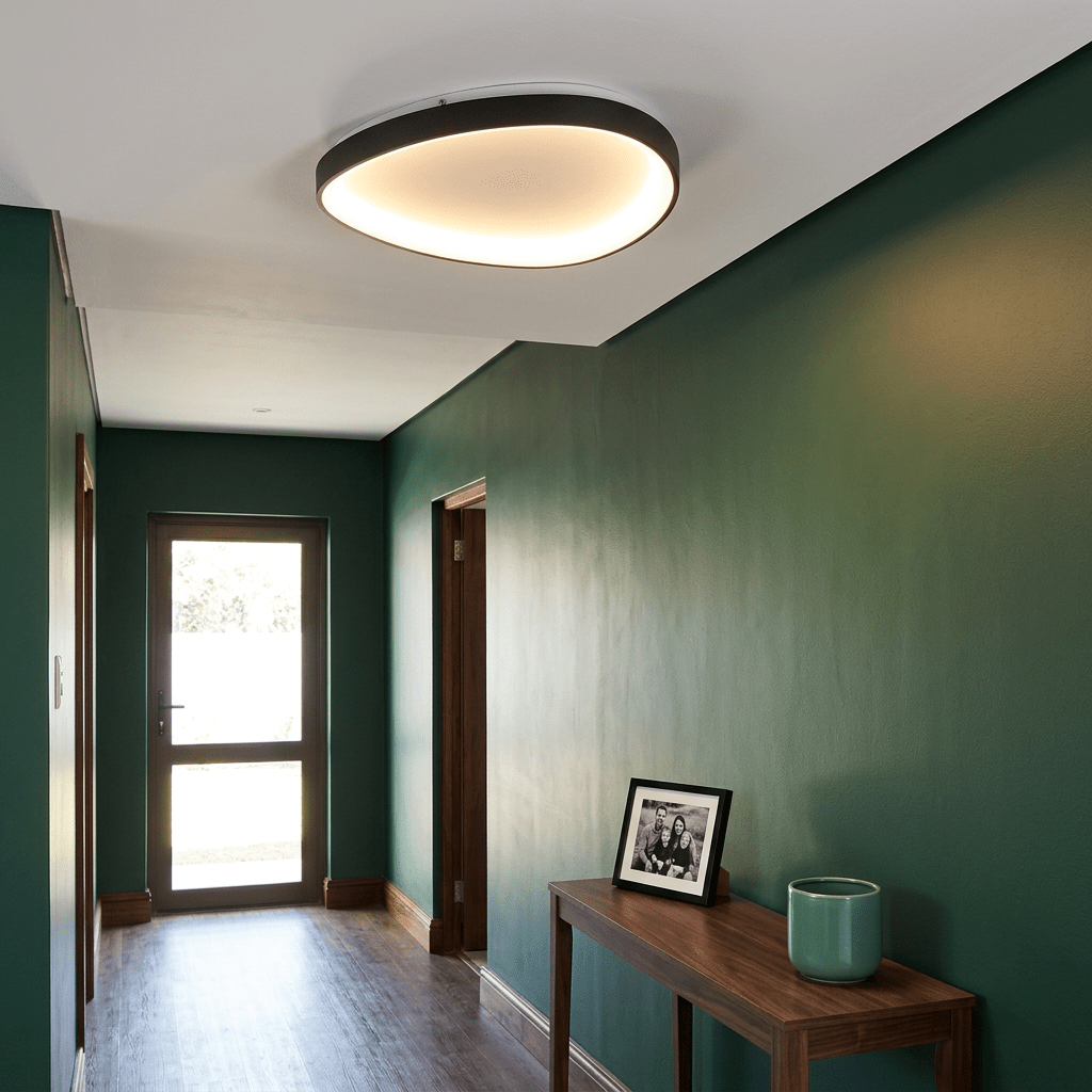 Large Ovoid Black LED Ceiling Fitting Dimmable Warm White